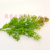 Artificial Flower Artificial Flower Bonsai Single Green Plant Leaf Vase Wall Hanging and Other Decorations