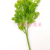 Artificial Flower Artificial Flower Bonsai Single Green Plant Leaf Vase Wall Hanging and Other Decorations