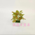 Artificial/Fake Flower Bonsai Plastic Basin Color Green Plant Leaves Decorative Ornaments