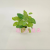 Artificial/Fake Flower Bonsai Plastic Basin Color Green Plant Leaves Decorative Ornaments
