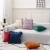 Solid Color Square Bedside Cushion Pillow Cover Netherlands Velvet Affordable Luxury Style Living Room Sofa Cushion Pillow Office Lumbar Support Pillow