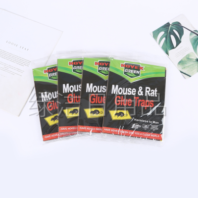 English Words Mouse Sticker Mouse & Rat Glue Traps Mouse Trap Sticker Green Clean Daily Necessities Household Rat Killer Board