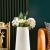 S63-3564 Home Vase Plastic Vase Living Room Drop-Resistant Simulation Vase Decoration Creative Fresh Vase