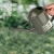 X111-2538 Mini Watering Pot Handheld Watering Watering Pot Kettle Watering Can Long Mouth Large Capacity Watering Can