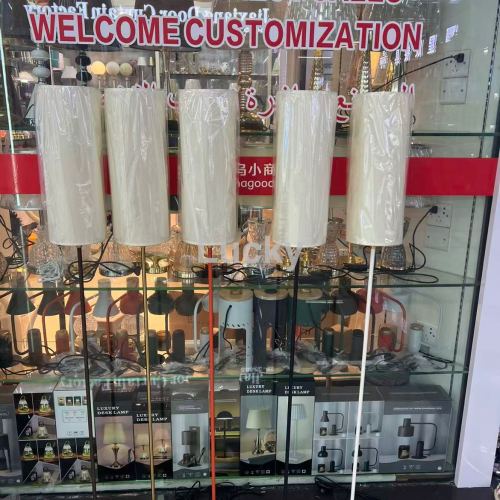 经典时尚款落地灯