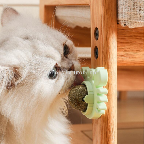 pet mint rotating ball， funny catmint toy ball， crab turtle dinosaur duck tooth cleaning ball （281