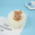 Cute Cartoon Bath Ball Steam Bear Clean Skin Lots of Foaming Factory Direct Sales Quality Assurance