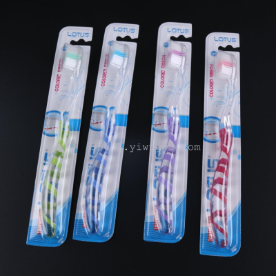 Jenny toothbrush transparent handle 4 color wholesale trade L464