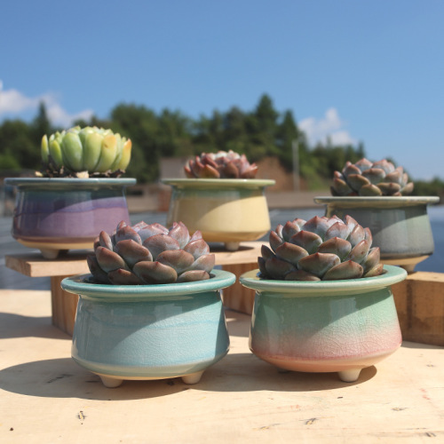 跨境厂家陶瓷多肉花盆创意大号多肉盆陶盆批发可爱植物盆栽简约风