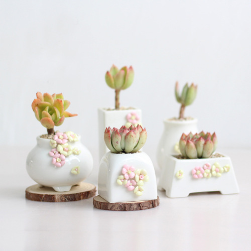 简约白瓷捏花多肉植物花盆迷你小号老桩室内清新手工韩式控型PP盆