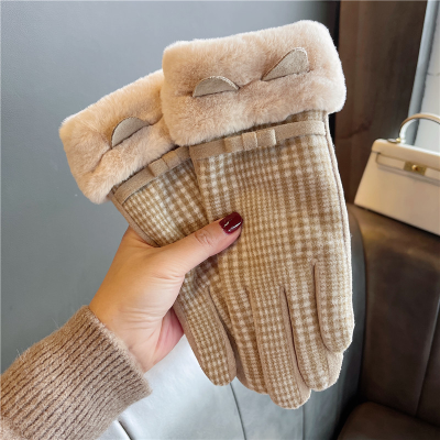 Autumn and winter gloves ins lovely cycling warm and cold-proof plus cashmere thickened touch-screen imitation cashmere 