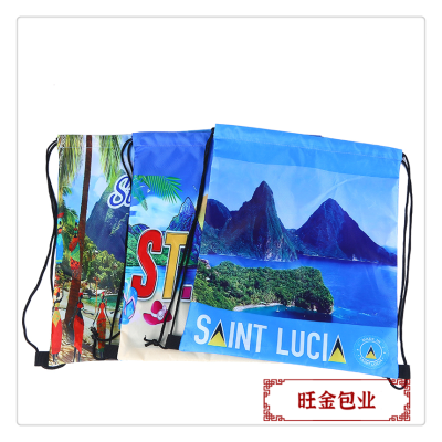 Waterproof Drawstring Pocket Drawstring Portable Backpack Buggy Bag Drawstring Bag Customized