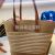 Women's handbag, Satchel, beach bag, shopping bag, new product release