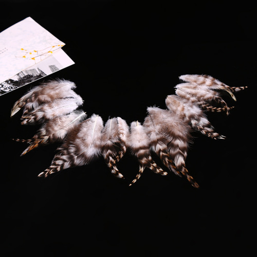 厂家批发8-13cm青芦花尖羽毛鸡毛 DIY饰品工艺品装饰羽毛辅料