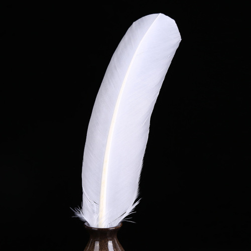 优质厂家直销火鸡大羽毛 散装批发 diy饰品工艺品装饰配件