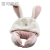Multifunctional Cartoon Embroidered Hooded U-Shape Pillow Neck Pillow Office Nap Blanket Nap Rug Storage Folding