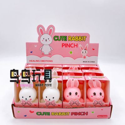 Children's Toy Stall Decompression Squeezing Toy New Exotic Vent Pressure Doll Rabbit Cute Pig Doll Factory Wholesale