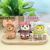 New Animal Blind Box Cute Pet Squeezing Toy New Exotic Clothes Changing Animal Blind Box Foreign Trade Factory Wholesale