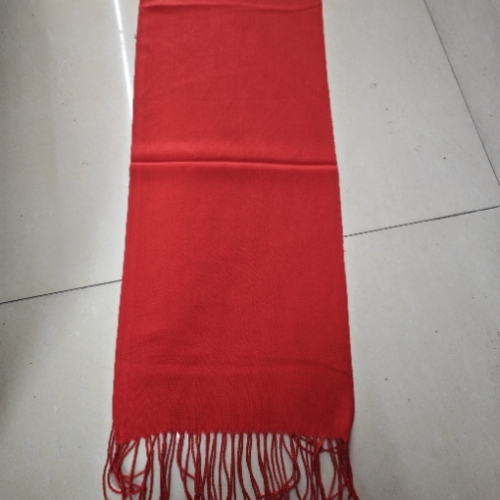Company Annual Meeting Reunion Party Red Scarf