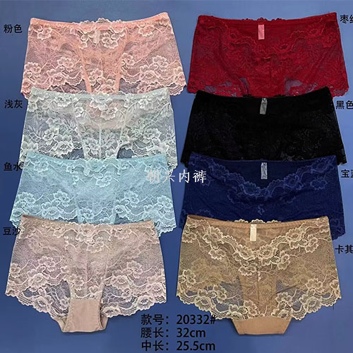 Women‘s European and American Style Amazon EBaby Foreign Trade Large Version Medium and High Waist Transparent Lace Underwear Factory Direct Sales