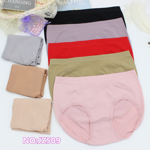 Women‘s Underwear Autumn New Panties Mid Waist Seamless Comfortable Breathable Briefs Factory Direct Sales Jz509