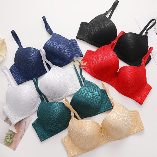flounced embroidered bra removable shoulder strap b cup rear four breasted foreign trade export south america north america bra3014