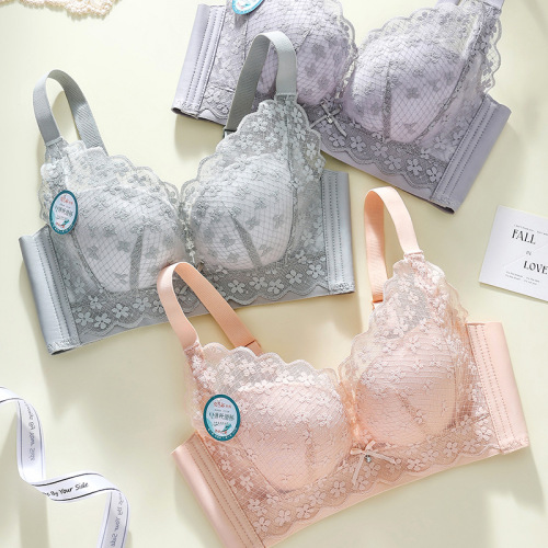 【1厘米中薄杯】绵软滑滑杯~无磁无钢圈柔软蕾丝文胸 聚托服帖