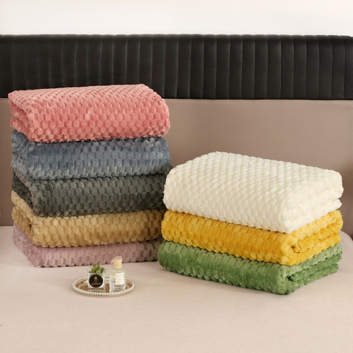 跨境外贸珊瑚绒毯子金龟绒毛毯午睡盖毯法莱绒毯子牛奶绒小毯子