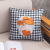 Cross-Border Ins Style Light Luxury Nap Artificial Silk Glossy Sofa Pillow Cases Model Room Car Living Room Bay Window Pillow