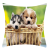 Exclusive for Cross-Border Cute Pet Dog Graphic Customization Short Plush Pillow Cover Customized Amazon Hot Home Fabric