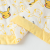 Pokemon Series-Class a Double-Layer Yarn Soybean Children's Summer Quilt Kindergarten Duvet Airable Cover Expression Pikachu