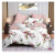 Bedding Printing Quilt Cover Bed Sheet and Pillowcase Set Chemical Fibers Size Can Be Customized