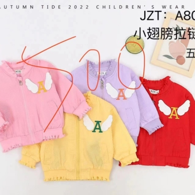 Little Wing zip-up shirt double rounds lining coat children's clothing autumn clothing children's autumn and winter casual loose