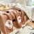 Small Blanket Nap Blanket Winter Coral Milk Fiber Thickened Sofa Shawl Air Conditioning Blanket for Bed