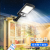 Cross-Border Outdoor Yard Lamp Lighting Light-Controlled Induction Street Lamp Rural Rechargeable LED Solar Street Lamp Integration