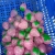 New Creative Strawberry Pinch Music Puzzle Decompression Toy Light-Changing Strawberry Tpr Decompression Ball Flour Ball