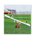 Huijunyi Physical Fitness-Sports Equipment and Fitness Path Series-HJ-W525 Seesaw