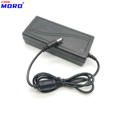 Factory Direct Sales 12V Light with Power Supply 5050 Light with Foot 5a Power Supply