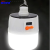 Mobile Solar Bulb Rechargeable Emergency Light Outdoor Camping Tent Light