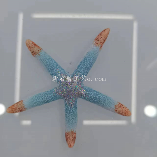 海参  海星     厂家直销，各色海参礼品