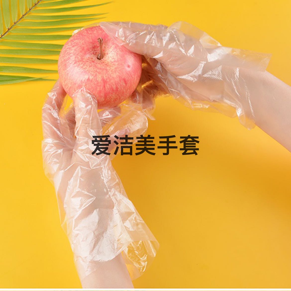Product Image Gallery