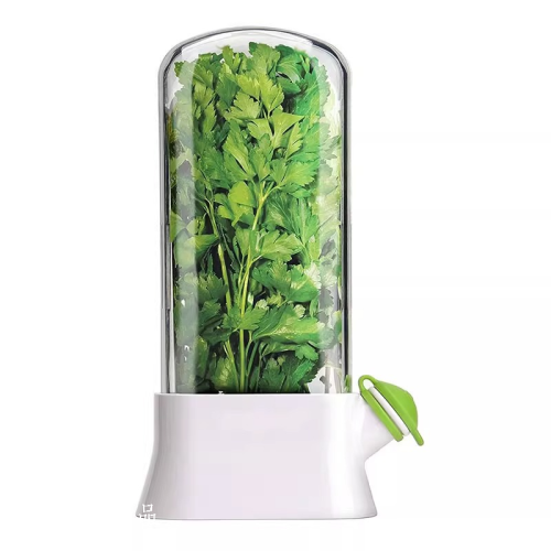 跨境新款香草保鲜杯 蔬菜储存器二代 大号 大容量