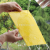 Factory Hot Selling Double-Sided Strong Sticky Card Yellow Backboard Greenhouse Orchard Tea Garden Insect Trap Board Multiple Specifications Available