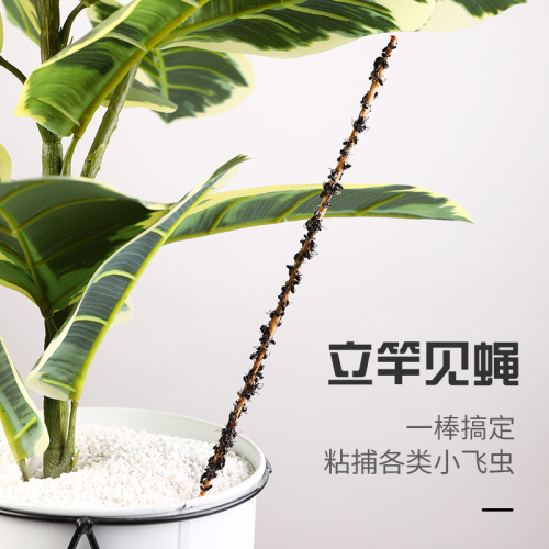 抓苍蝇棒杀手粘蝇纸苍蝇贴捕捉器诱捕器家用养殖场灭杀小飞虫胶水