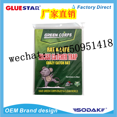 Green corps  Small Mousetrap Glue Glue Mouse Traps Mouse Sticker Mouse Trap Sticker Domestic rodent glue board 