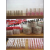 Brush-on Nail Glue Plastic Bottle Transparent Nail Glue for Nail Beauty Shop Glue Nail-Beauty Glue