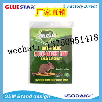 Green Killer Strong Mouse Glue Sticky Mouse Rat Glue Mouse Catcher Traps Mouse Glue Glue Rat Trap Green Mouse Board
