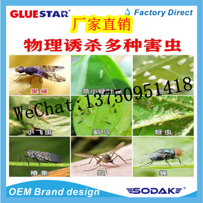 Fly Paper Fly-Killing Lamp Sticky Catching Style Stickers for Food, Catering, Sprinkling, Fly and Insect Killing, Color Ribbon, Sticky Paper
