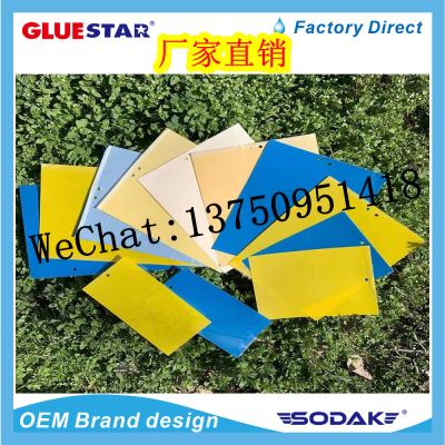 Sticky Card Double-Sided Yellow Board Insect Trap Board Blue Board Fly Paper Vegetable Fruits Effectively Kill Flying Insects Sticky Insect Stickers