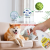 Pet Cat Cat Dog Deodorant Indoor Sofa Floor Cat Litter Cat Urine Dog Urine Freshener Spray Supplies